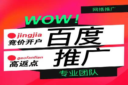 竞价推广策略解析：实战案例分析